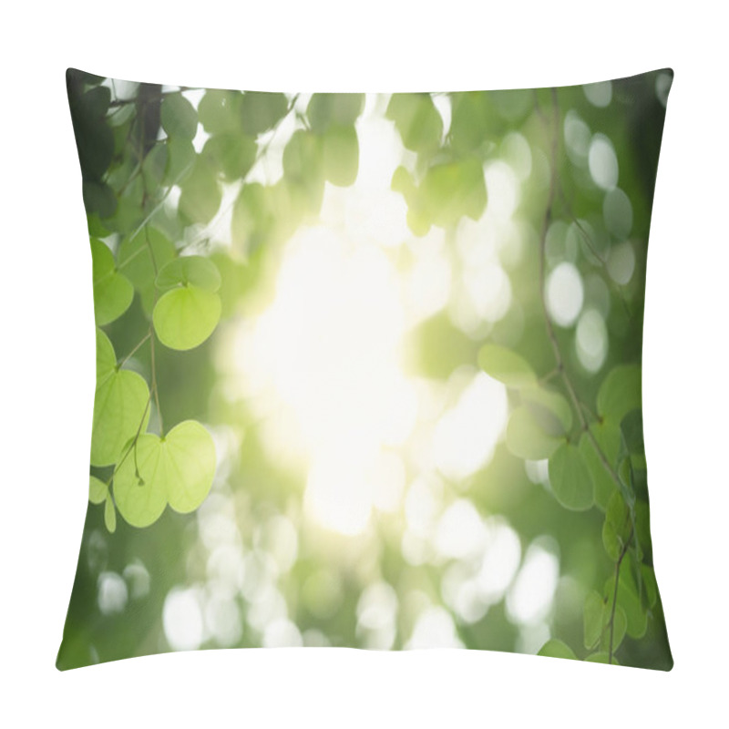 Personality  Close Up Of Nature View Green Orchid Tree Leaf On Blurred Greene Pillow Covers