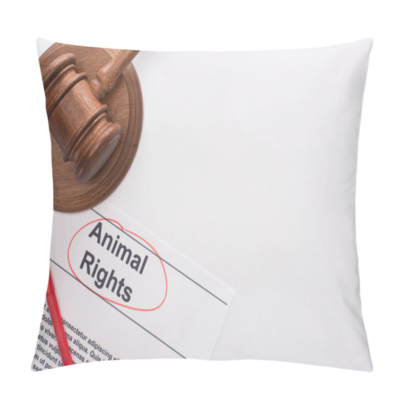 Personality  Top View Of Judge Gavel, Animal Rights Inscription And Red Felt Pen On White Background Pillow Covers