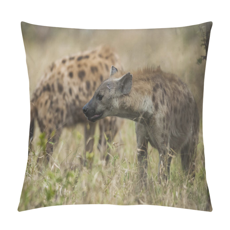 Personality  Hyena In Wild Nature Of South Africa Pillow Covers