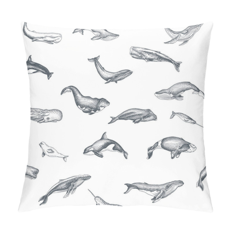 Personality  Vector Hand Drawn Illustration Of Wild Whales, Marine Style Pillow Covers