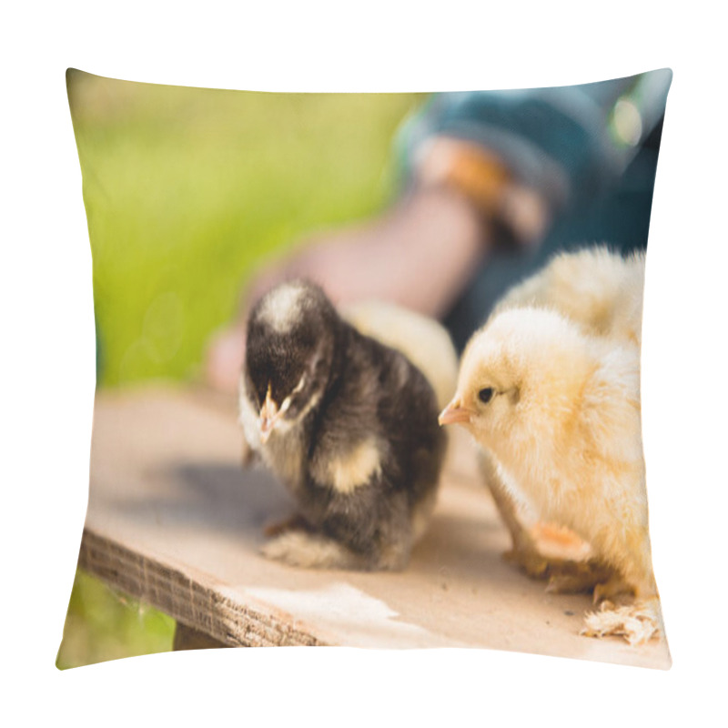 Personality  Selective Focus Of Adorable Baby Chicks On Wooden Board And Male Farmer Behind Outdoors  Pillow Covers