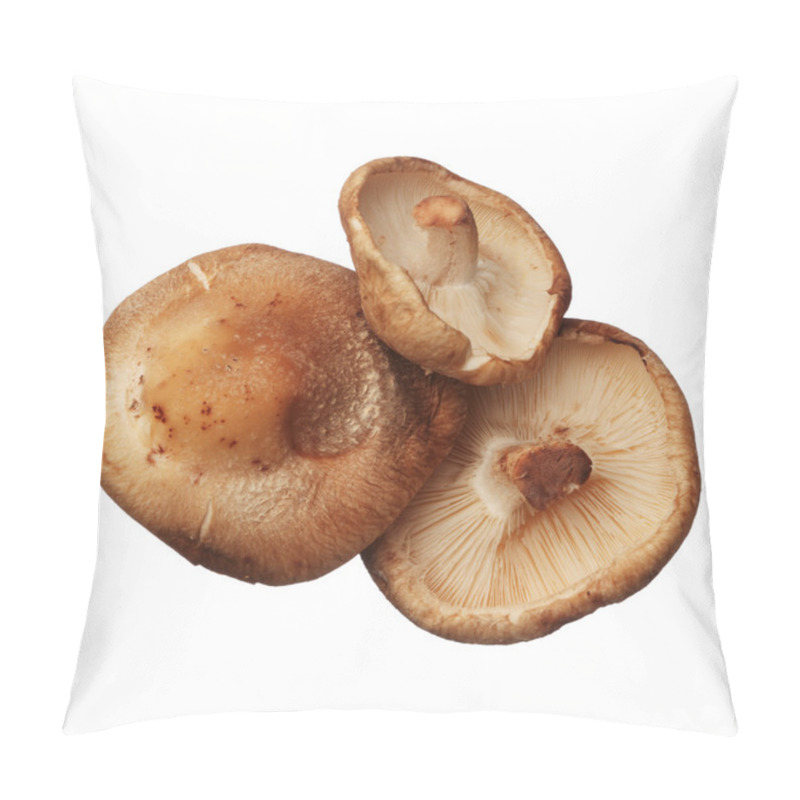 Personality  Shitake Mushrooms Isolated On White Background, Close Up Pillow Covers