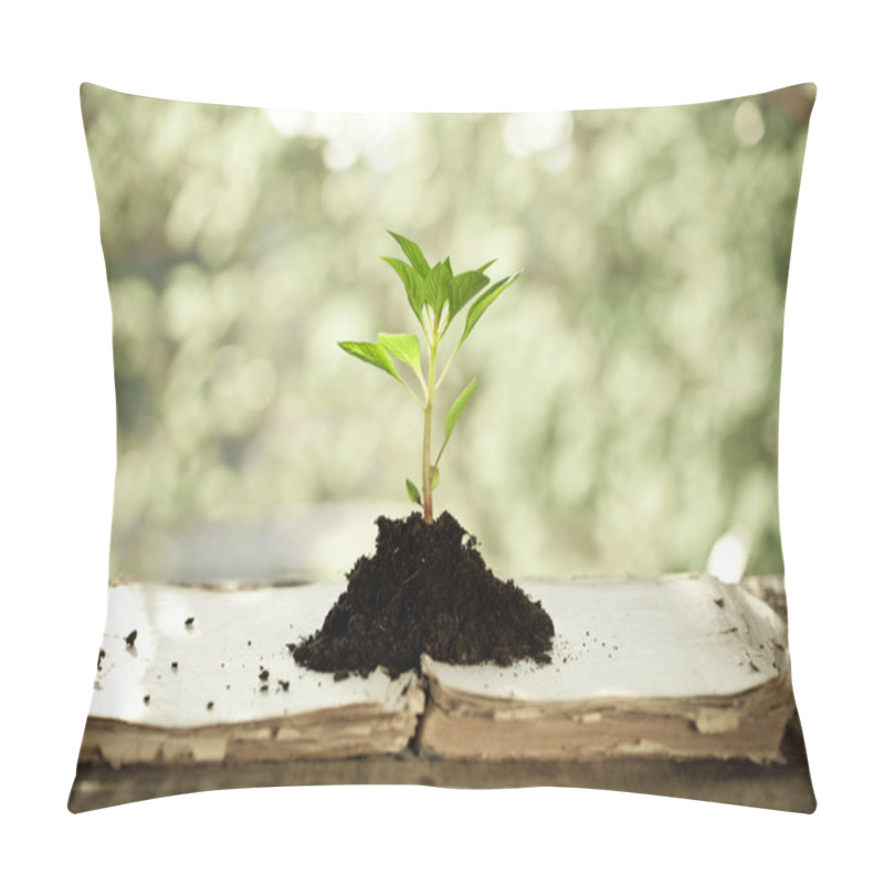 Personality  Young Plant Against Natural Background Pillow Covers