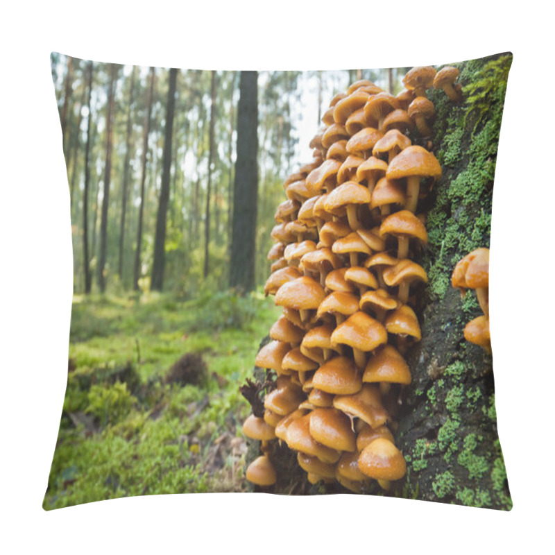 Personality  Wild Mushroom On Mossy Trunk In The Forest Pillow Covers