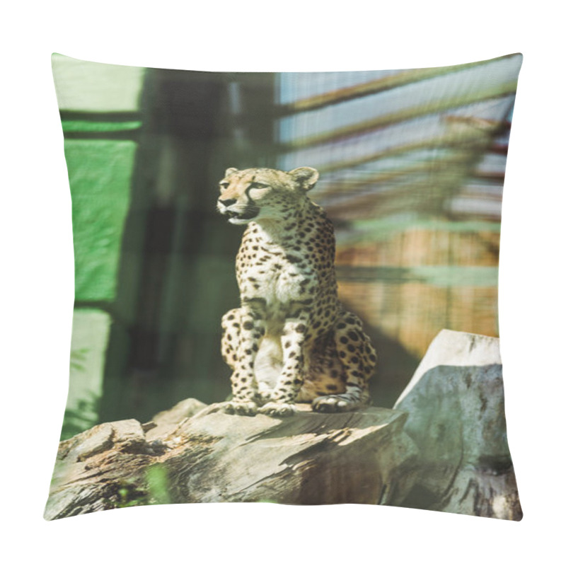 Personality  Selective Focus Of Wild Leopard Sitting In Tree Trunk Near Green Plants In Zoo  Pillow Covers