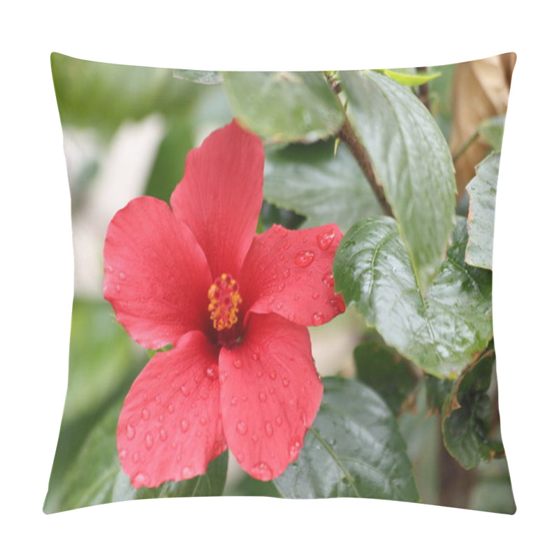 Personality   Hibiscus Flower (Hibiscus Rosa-sinensis) With Rain Drops Pillow Covers