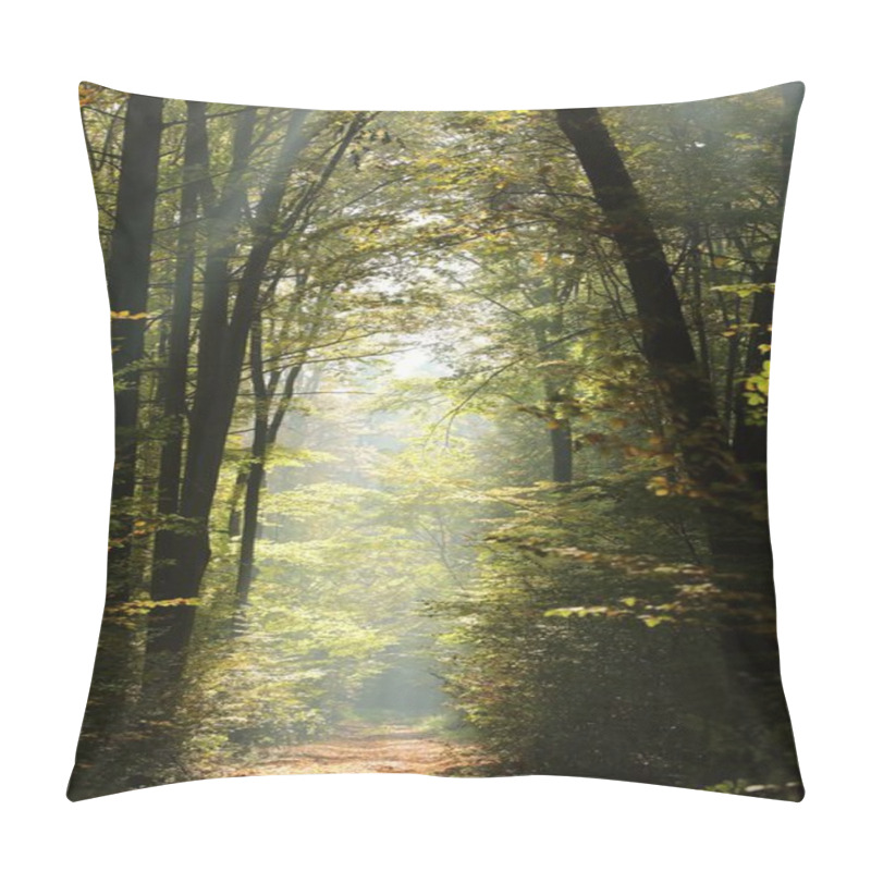 Personality  Forest Path Among Beech Trees On A Sunny Autumn Morning Pillow Covers