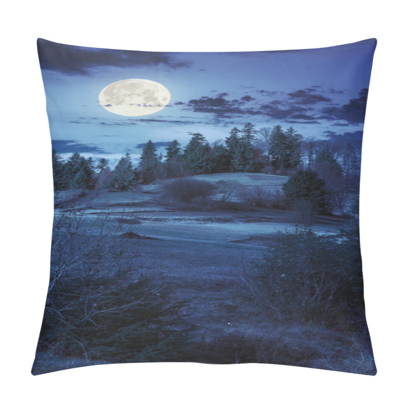 Personality  Pine Trees Near Valley In Mountains  On Hillside At Night Pillow Covers