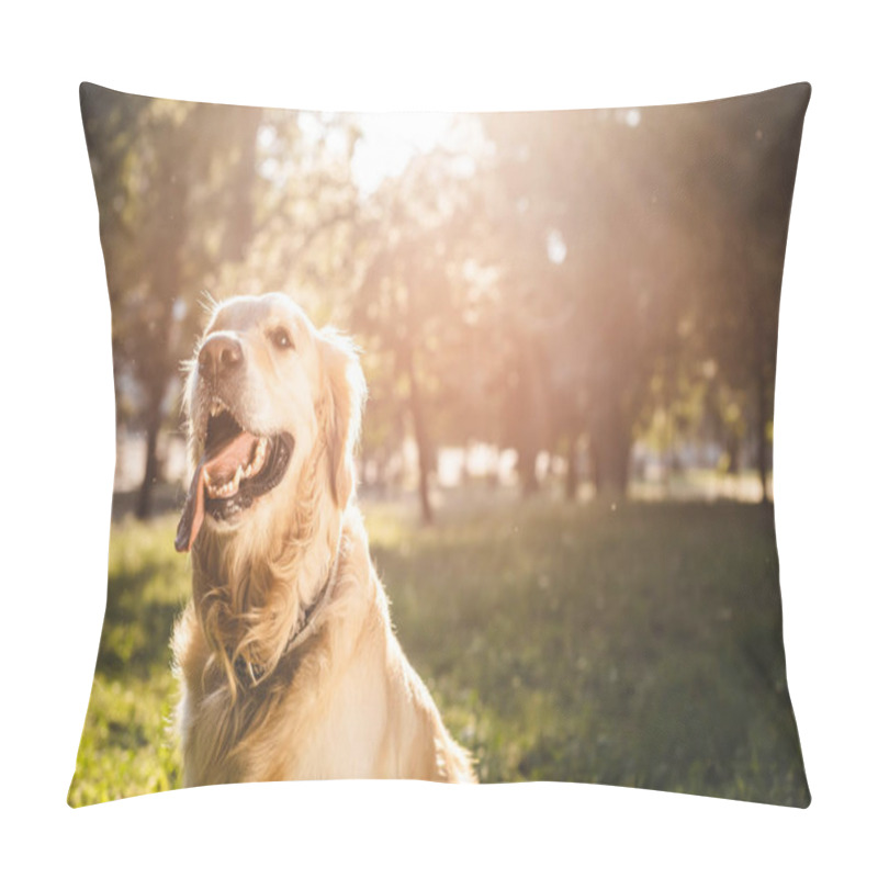 Personality  Selective Focus Of Golden Retriever Sitting On Meadow In Sunlight Pillow Covers