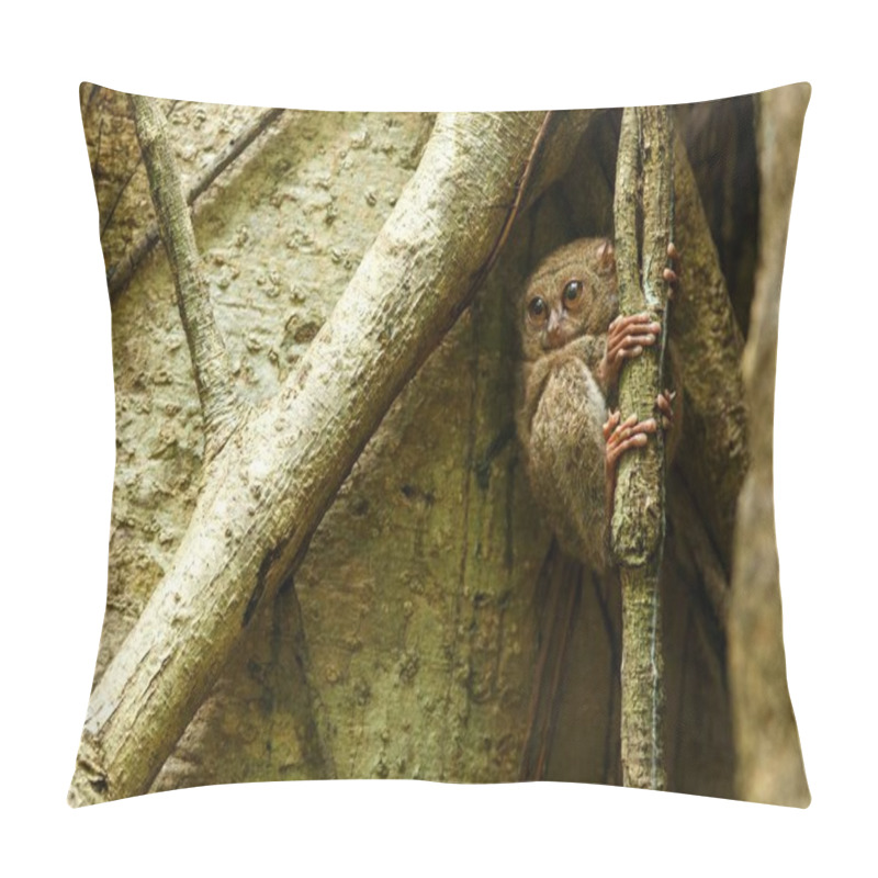 Personality  Spectral Tarsier, Tarsius Spectrum, Portrait Of Rare Endemic Nocturnal Mammals, Small Cute Primate In Large Ficus Tree In Jungle, Tangkoko National Park, Sulawesi, Indonesia, Asia Pillow Covers