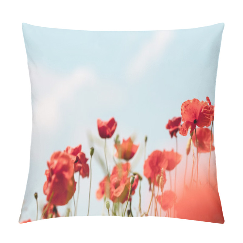 Personality  Poppy Flowers Retro Peaceful Summer Background Pillow Covers