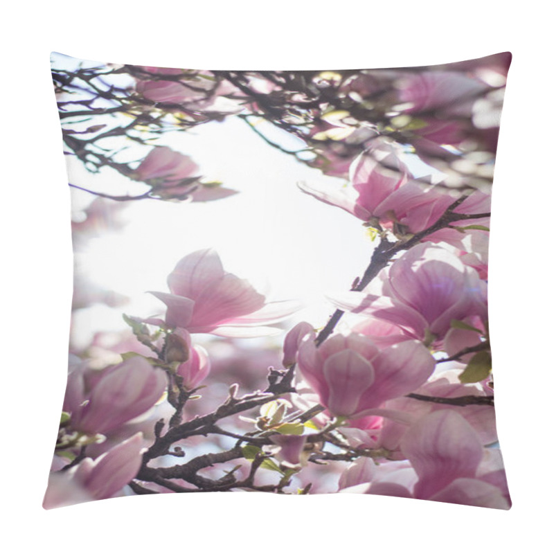 Personality  Magnolia Tree Flowers Blossom In Spring  Pillow Covers