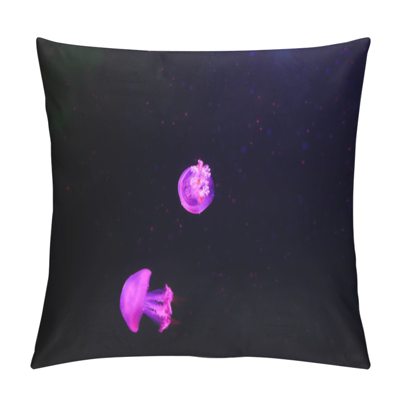 Personality  Beautiful Jellyfish, Medusa In The Neon Light With The Fishes. Underwater Life In Ocean Jellyfish. Exciting And Cosmic Sight Pillow Covers