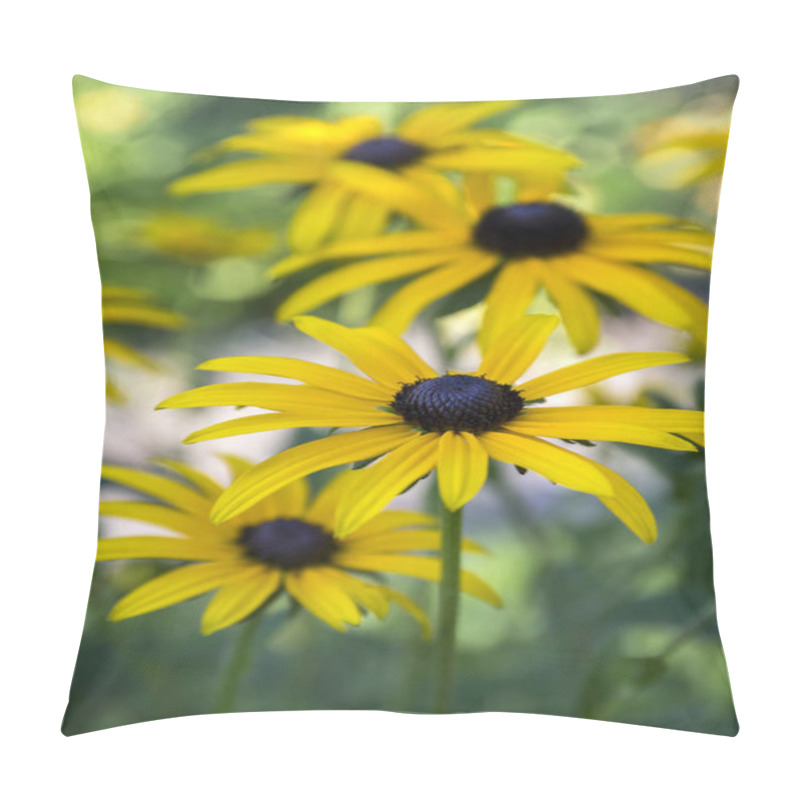 Personality  Rudbeckia Hirta Yellow Flower With Black Brown Centre In Bloom, Black Eyed Susan In The Garden Pillow Covers