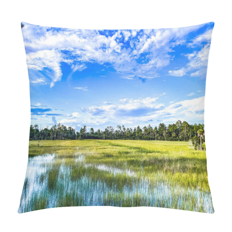 Personality  Louisiana Marsh Pond And Grasses Flooded Pillow Covers