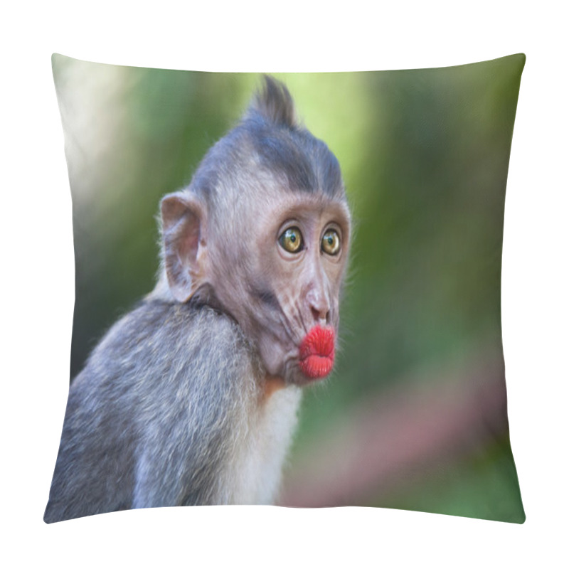 Personality  Funny Monkey With A Red Lips Pillow Covers