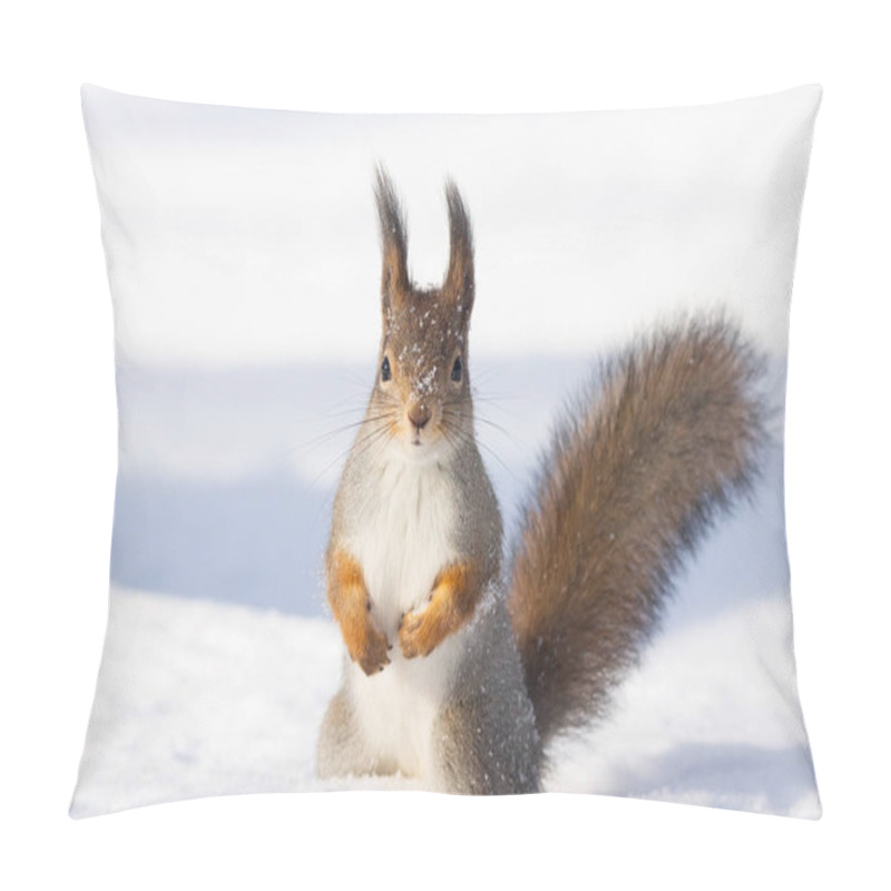 Personality  Red Squirrel Sitting On The Snow In The Park In Winter Pillow Covers