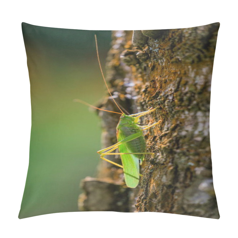 Personality  Close-up Photo Of The Great Green Bush-cricket Sitting On Tree Trunk In Magnificent Lighting. Tettigonia Viridissima. Pillow Covers