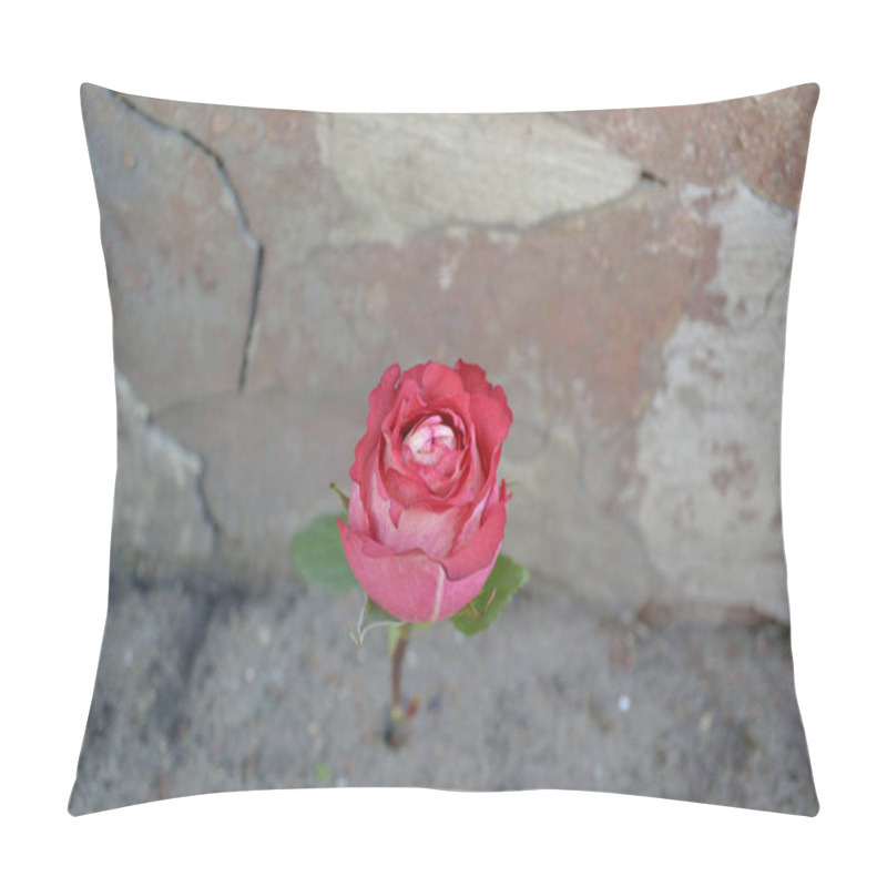 Personality  Flower Against The Wall Pillow Covers