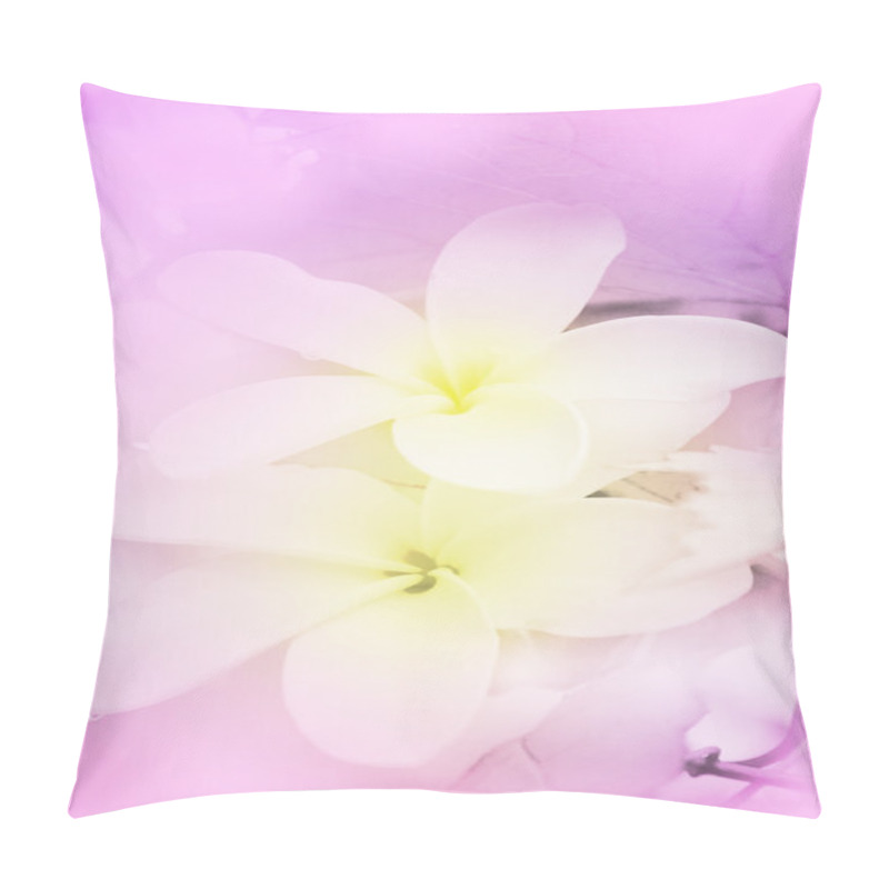 Personality  Plumeria Spp. (frangipani Flowers, Frangipani, Pagoda Tree Or Temple Tree) Pillow Covers