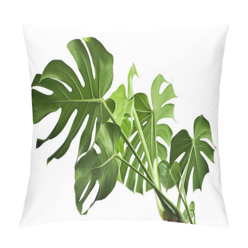 Personality  Monstera Deliciosa Leaf Or Swiss Cheese Plant, Isolated On White Background, With Clipping Path Pillow Covers