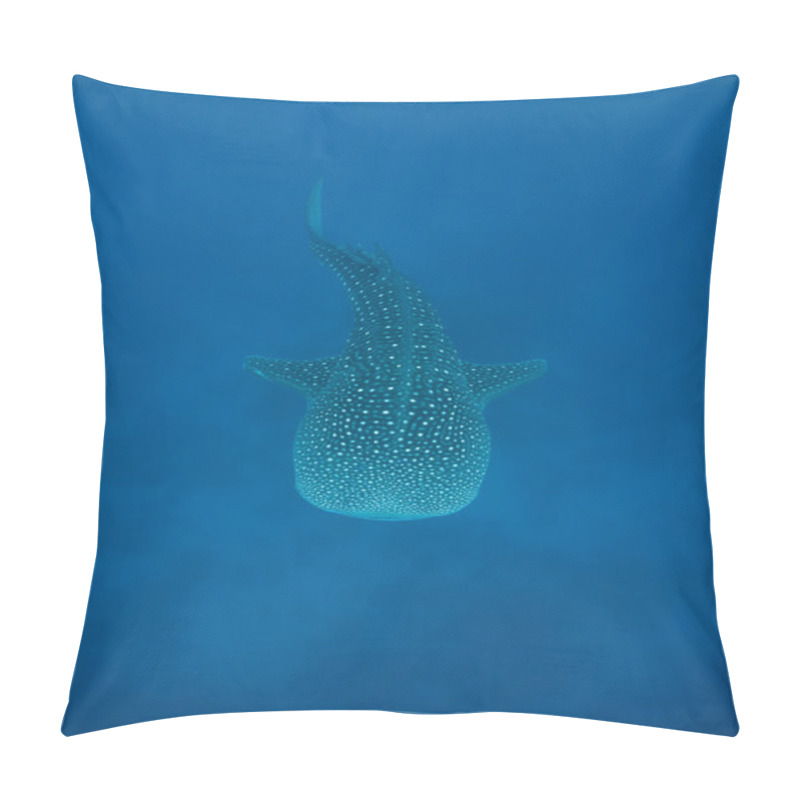 Personality  Young Whale Shark Pillow Covers