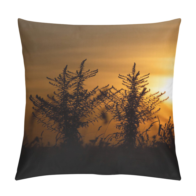 Personality  Silhouettes Of Grass Swaying Gently In The Foreground, Framed By A Warm, Glowing Sunset. A Serene And Atmospheric Depiction Of Nature's Beauty During Golden Hour. Pillow Covers