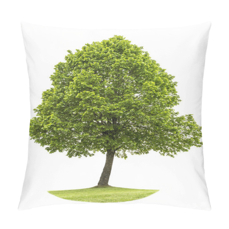 Personality  Green Tree Isolated On White Background. Nature Object Pillow Covers