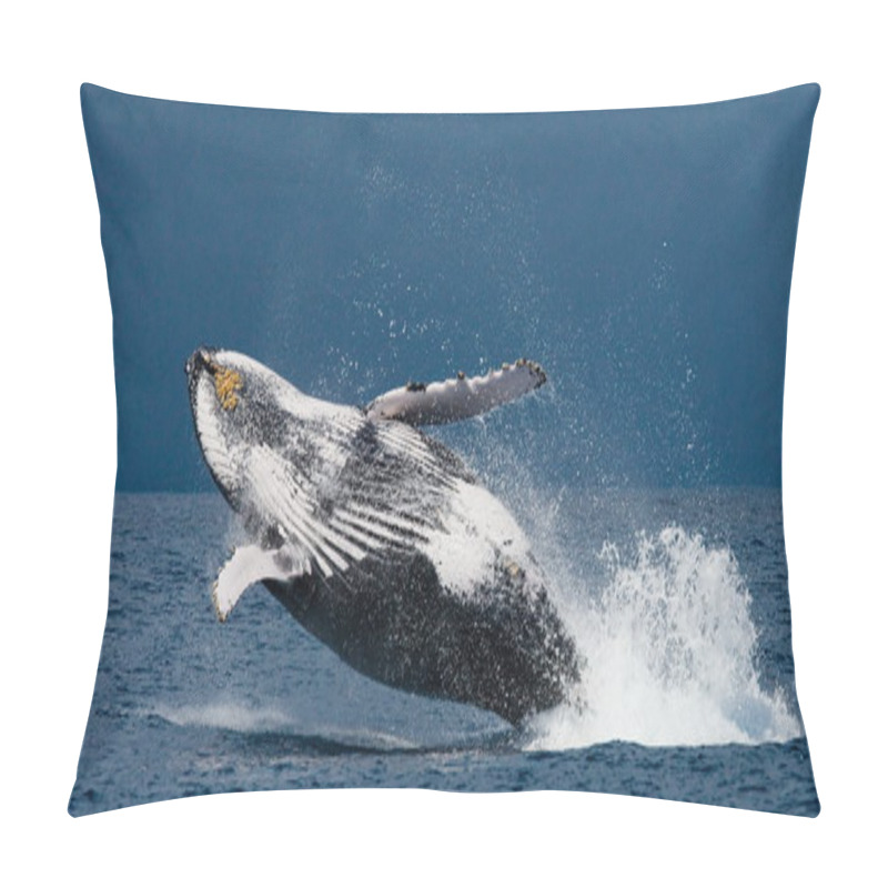 Personality  Humpback Whale Jumping Out Of The Water Pillow Covers