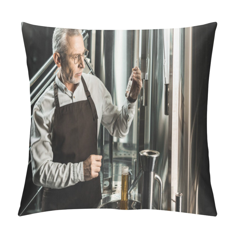 Personality  Professional Senior Brewer Examining Ale In Flask In Brewery Pillow Covers