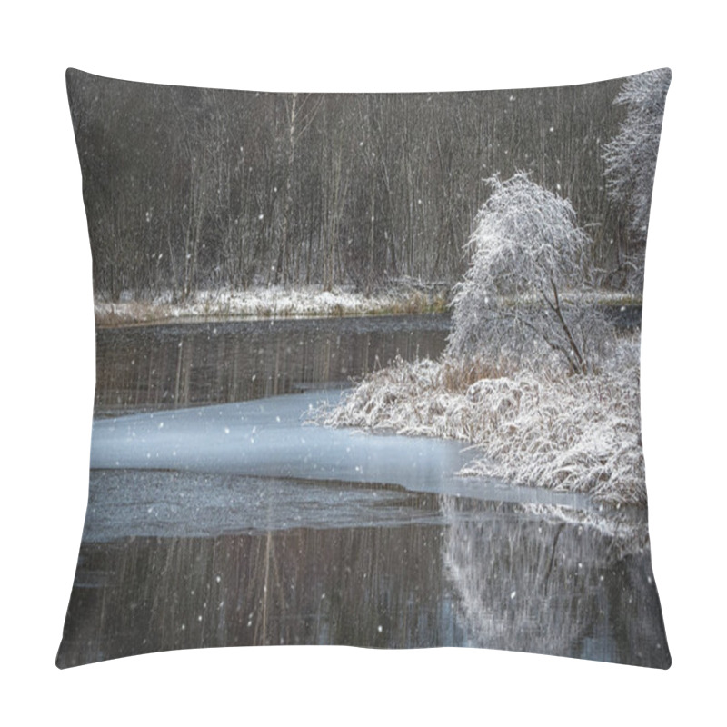 Personality  Snowfall On The Lake In The Winter Park.  Pillow Covers