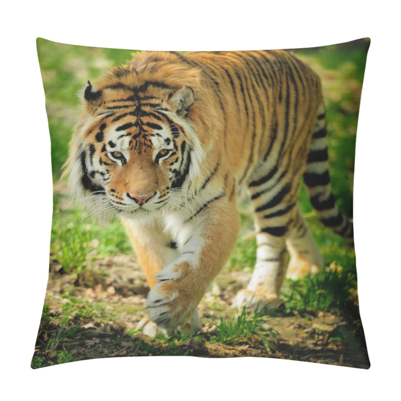 Personality  Tiger Pillow Covers