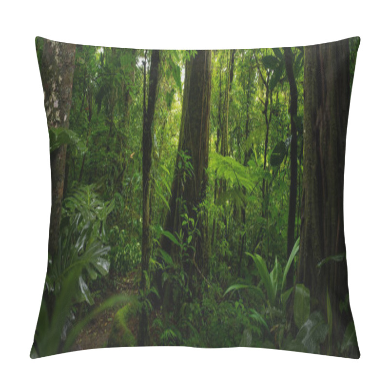 Personality  Tropical Forest With A Tree On The Background Of A Forest  Pillow Covers