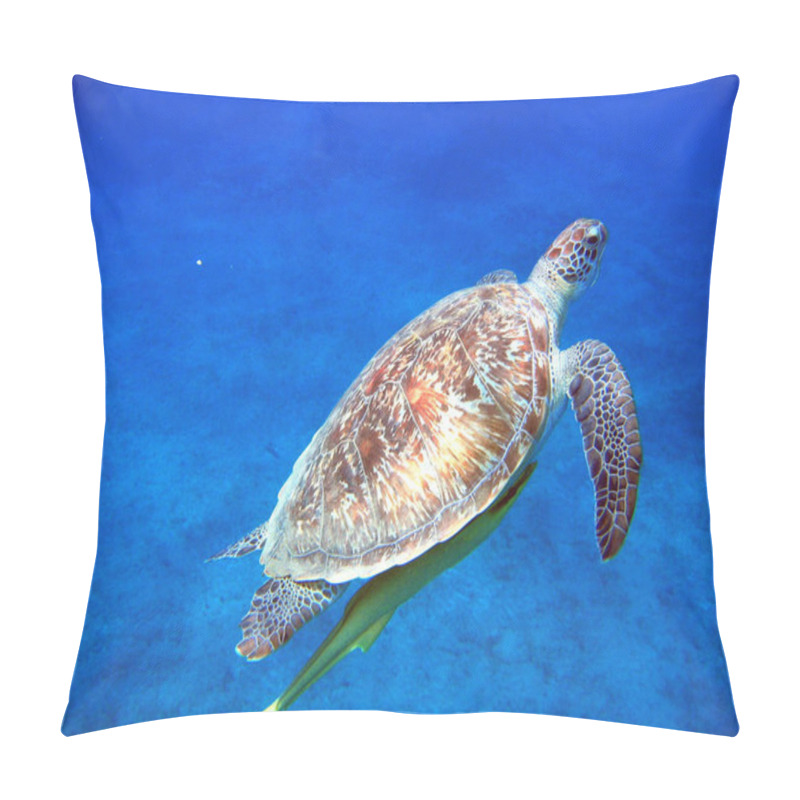 Personality  Tropical Turtle Animal, Reptile Pillow Covers