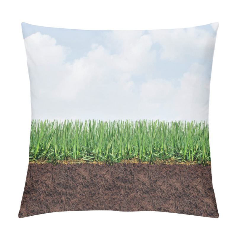 Personality  Healthy Lawn Border Background As A Perfect Turf And Healthy Grass With Good Lawncare For Controlling Weeds And Fertilizing And Aerating A Green Yard And Good Gardening With Text Area Pillow Covers