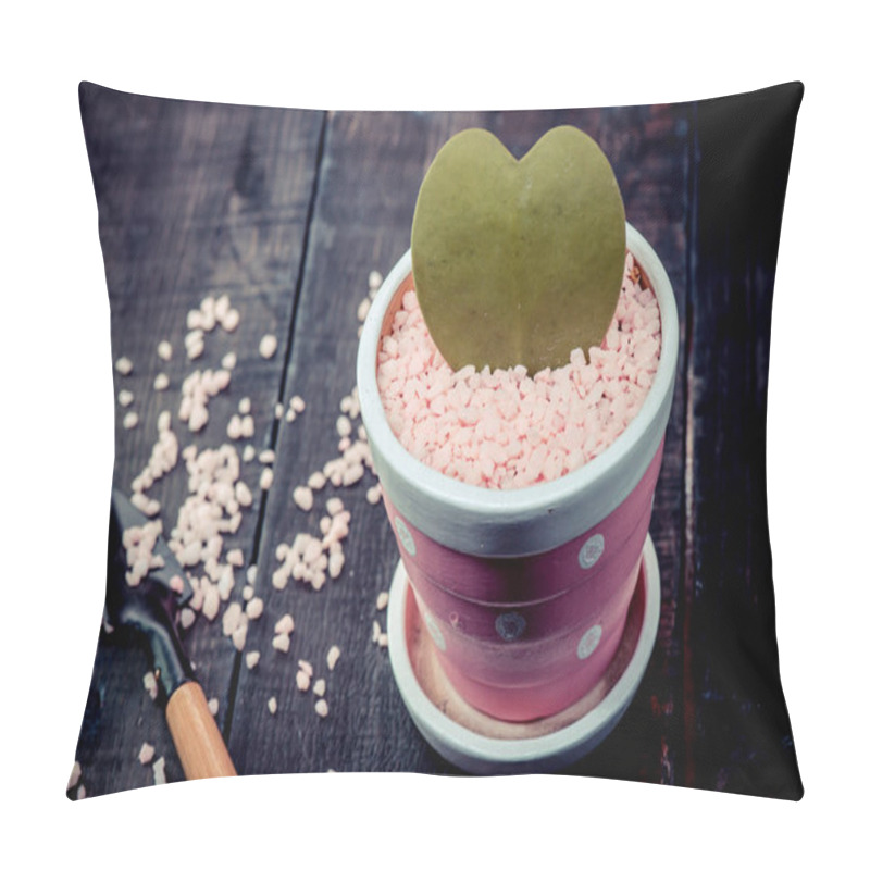 Personality  Close-up Shot Of Plant With Heart Shaped Leaf, Valentines Day Concept Pillow Covers