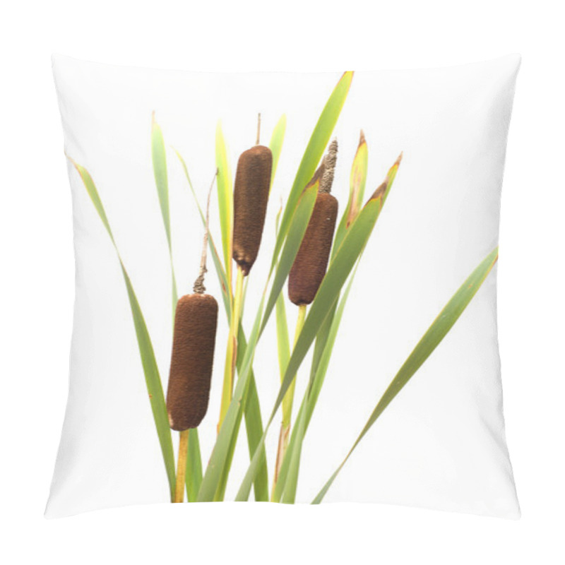 Personality  Reed Mace. Pillow Covers