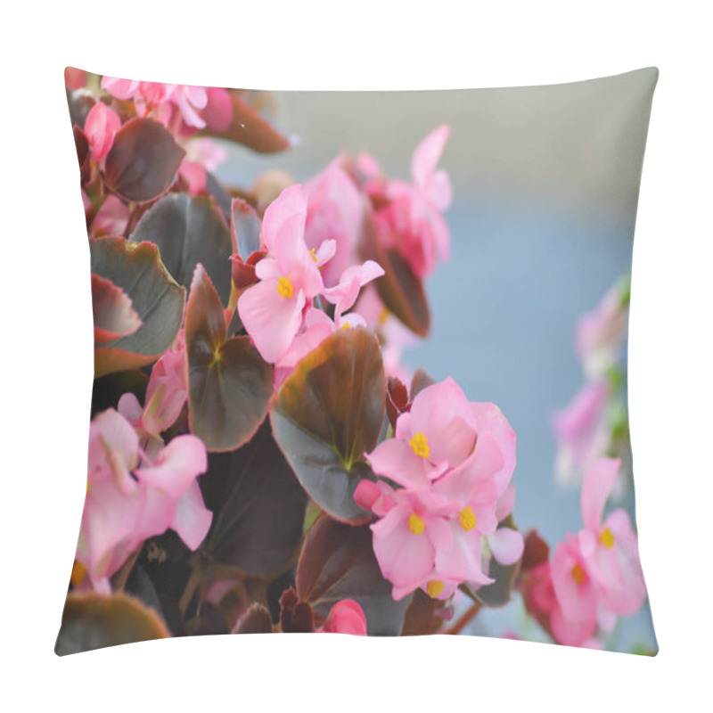 Personality  Begonia ,Begonia X Semperflorens-cultorum Pillow Covers