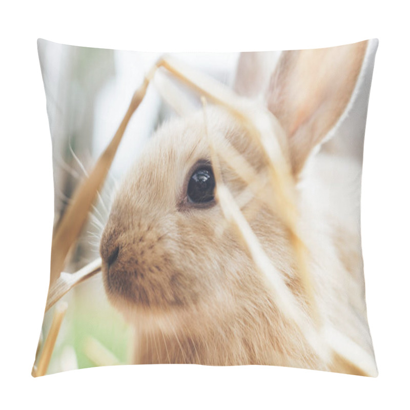 Personality  Beautiful Young Brown Rabbit On A Straw, Hay, Background. Pillow Covers