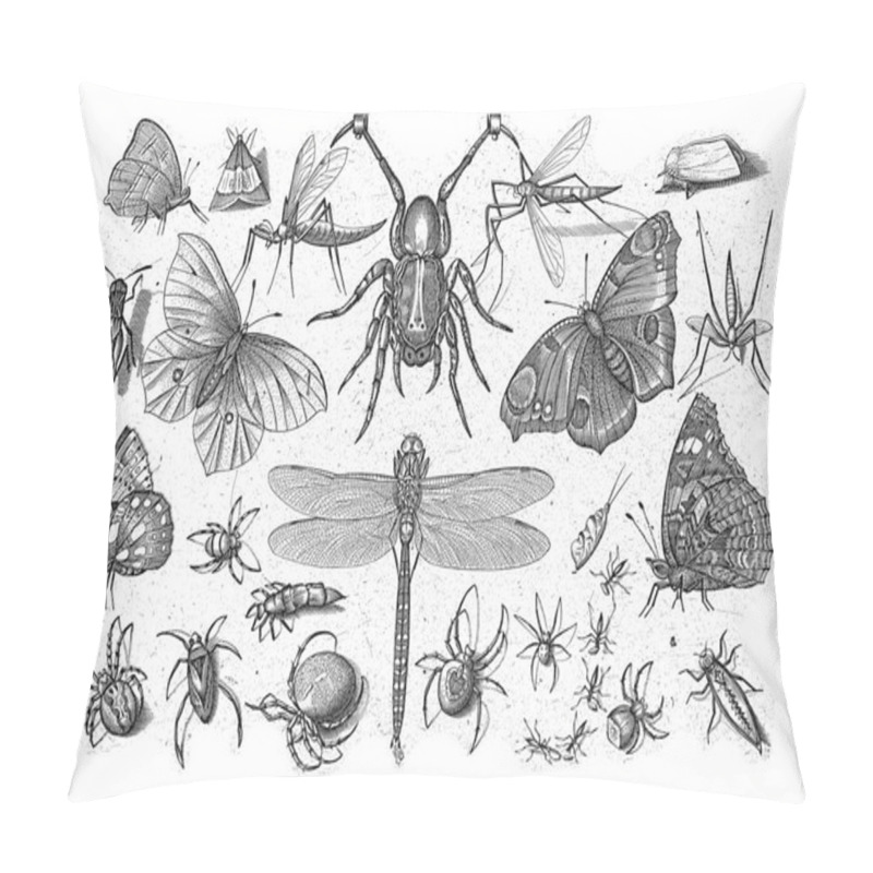 Personality  Various Insects With A Hanging Spider At The Top. Pillow Covers