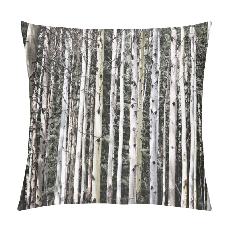 Personality  Aspen Tree Trunks Pillow Covers