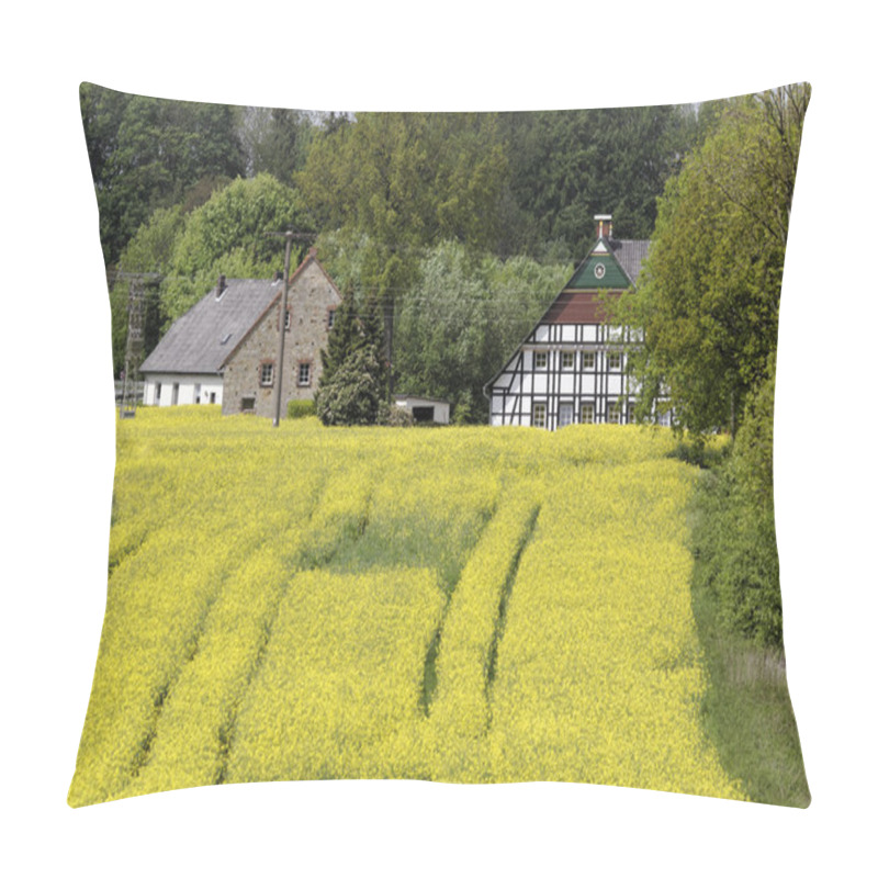 Personality  Rape Field With Old Houses In May, Hilter, Osnabrueck Country Region, Germany, Europe Pillow Covers