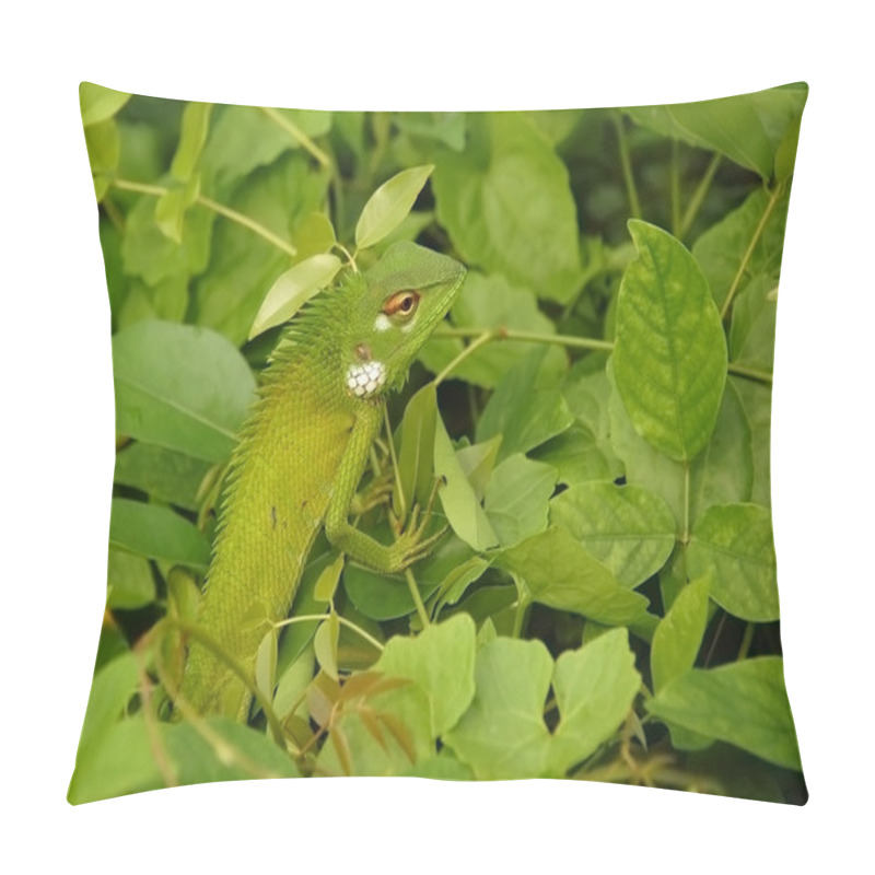 Personality  Variable Lizard In The Green Background Pillow Covers