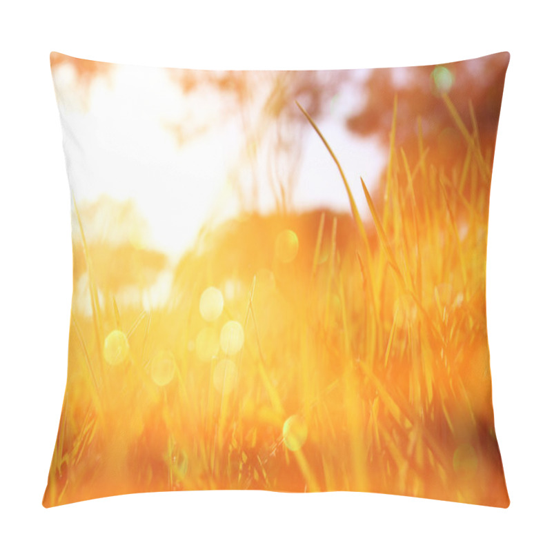 Personality  Blurred Abstract Photo Of And Glitter Pillow Covers