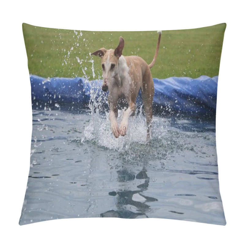 Personality  Funny Galgo Is Jumping In The Pool Pillow Covers