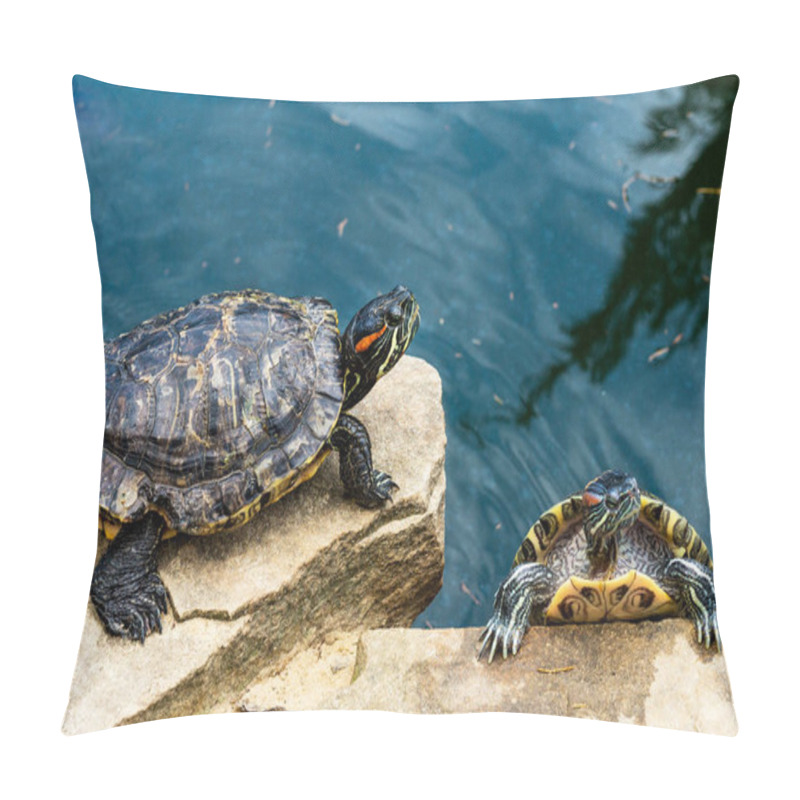 Personality  Turtles By The Pond. Amphibious Animals With A Shell Near The Water. Fun Animal Image Pillow Covers