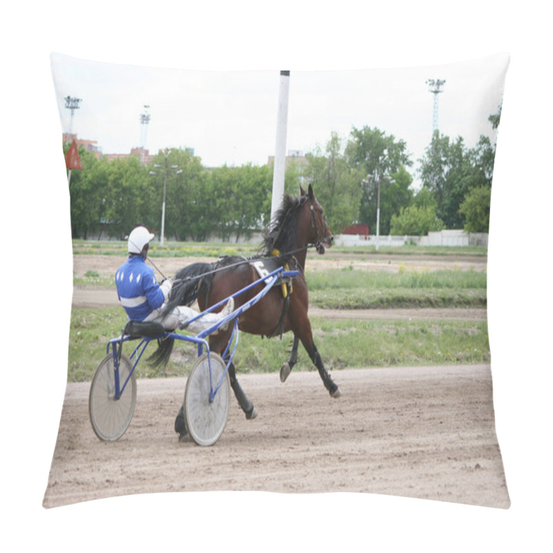 Personality  Racehorse Harnessed To The Cart Pillow Covers