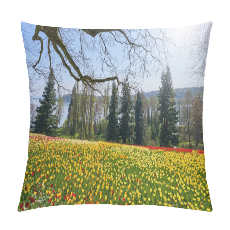 Personality  Picturesque Landscape With A Field Of Red And Yellow Tulips And A View Of Lake Bodensee Pillow Covers