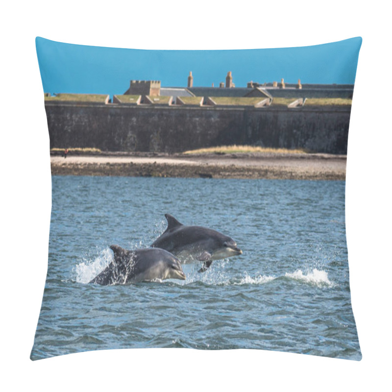 Personality  Team Of Bottlenose Dolphin Jumping In The Moray Firth In Front Of Fort George Near Inverness In Scotland Pillow Covers