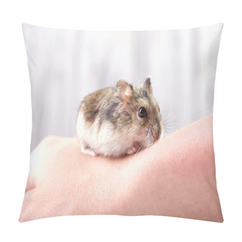 Personality  A Small Funny Animal Sits On A Woman's Hand With A Red Manicure. Miniature Hamster Viciously Rubs His Paws. Fluffy And Cute Dzhungar Hamster At Home. Pillow Covers